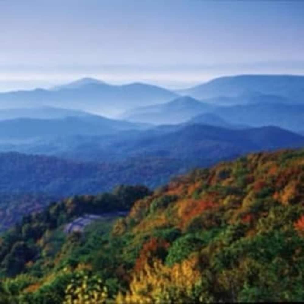 Biltmore Village Inn B&B 阿什维尔 外观 照片